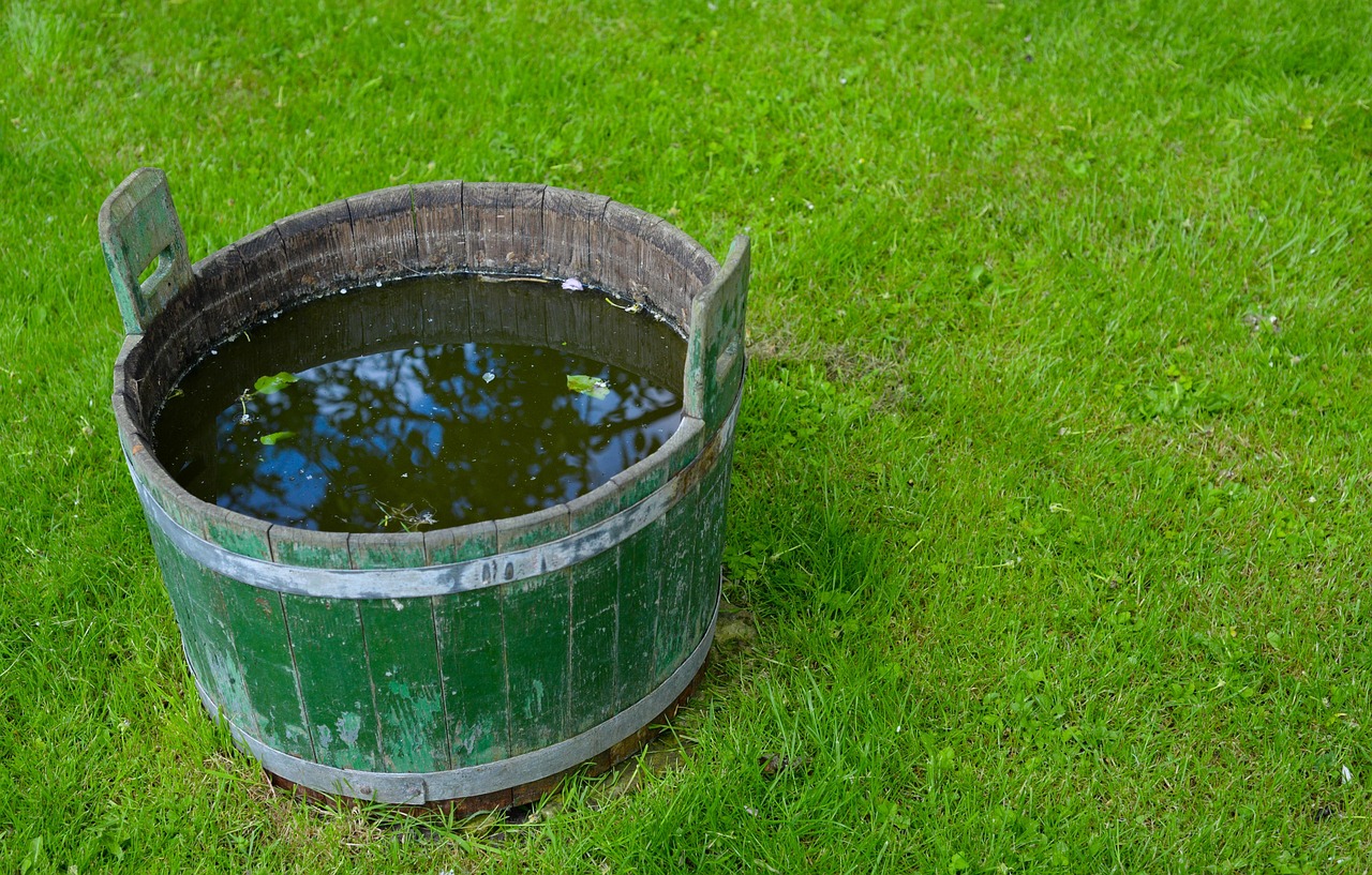 How Can Moving The Water Correct Years Of Drought? -…