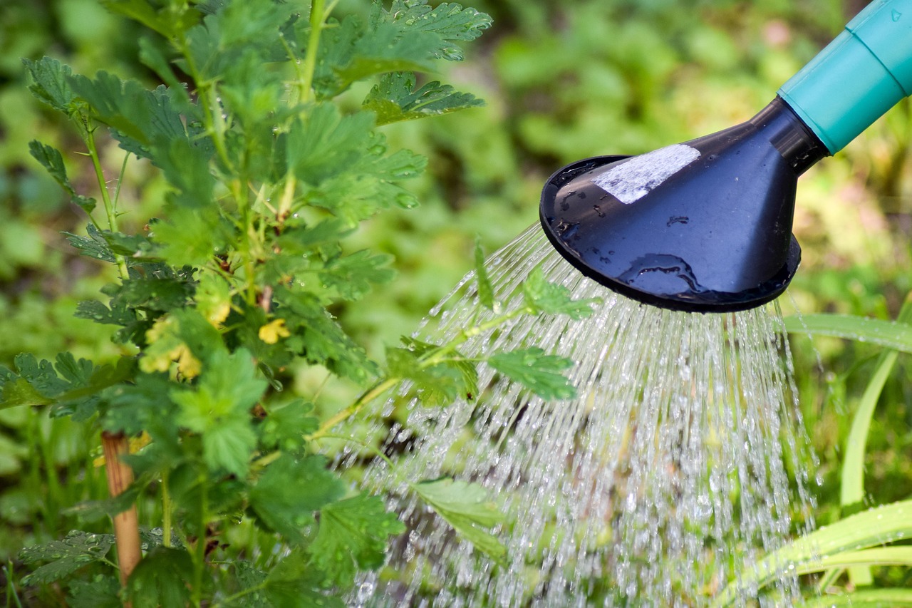 How Can Moving The Water Correct Years Of Drought? ~…