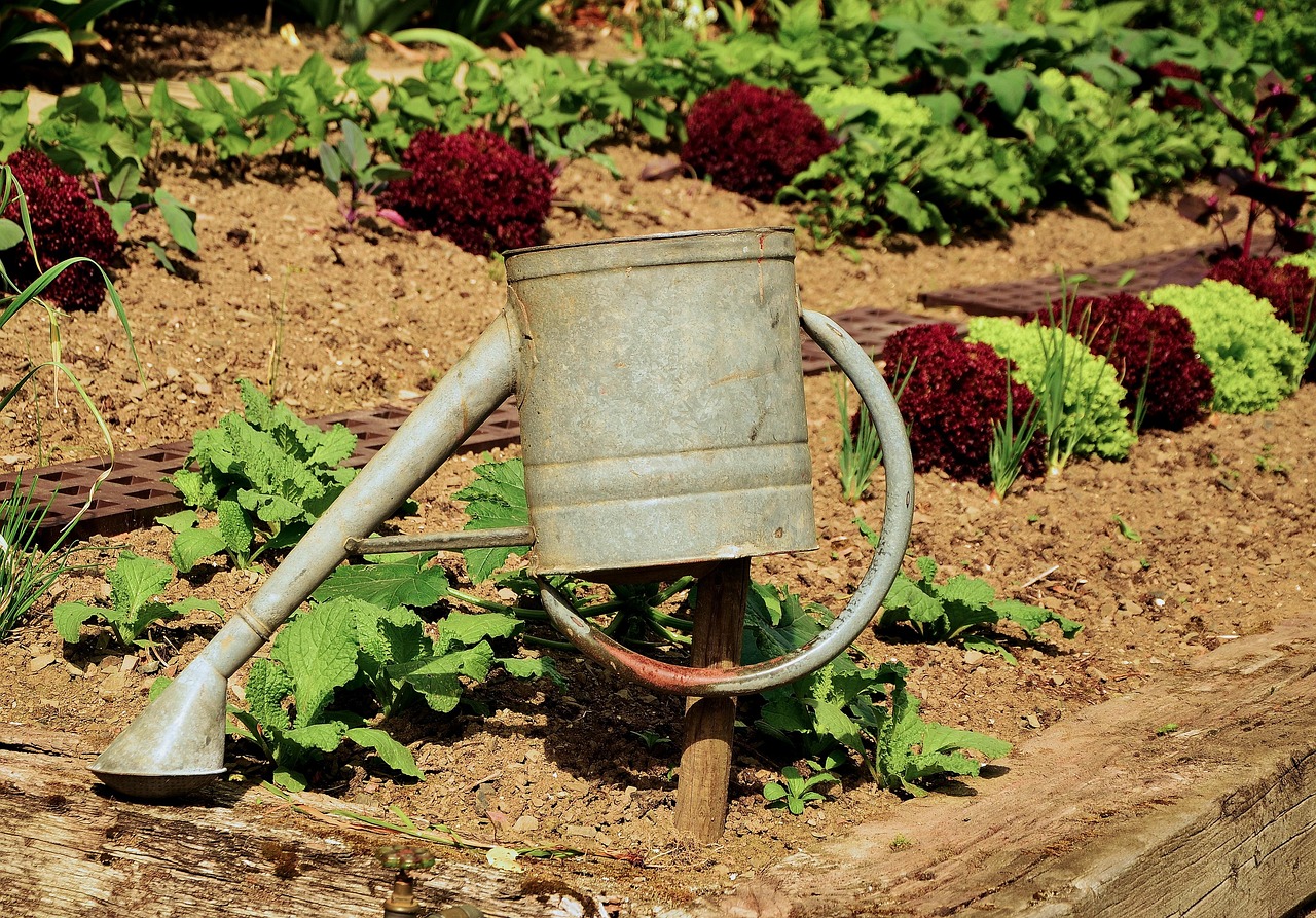 Drip Irrigation Solutions For Gardens – 💦 The Great Basin:…