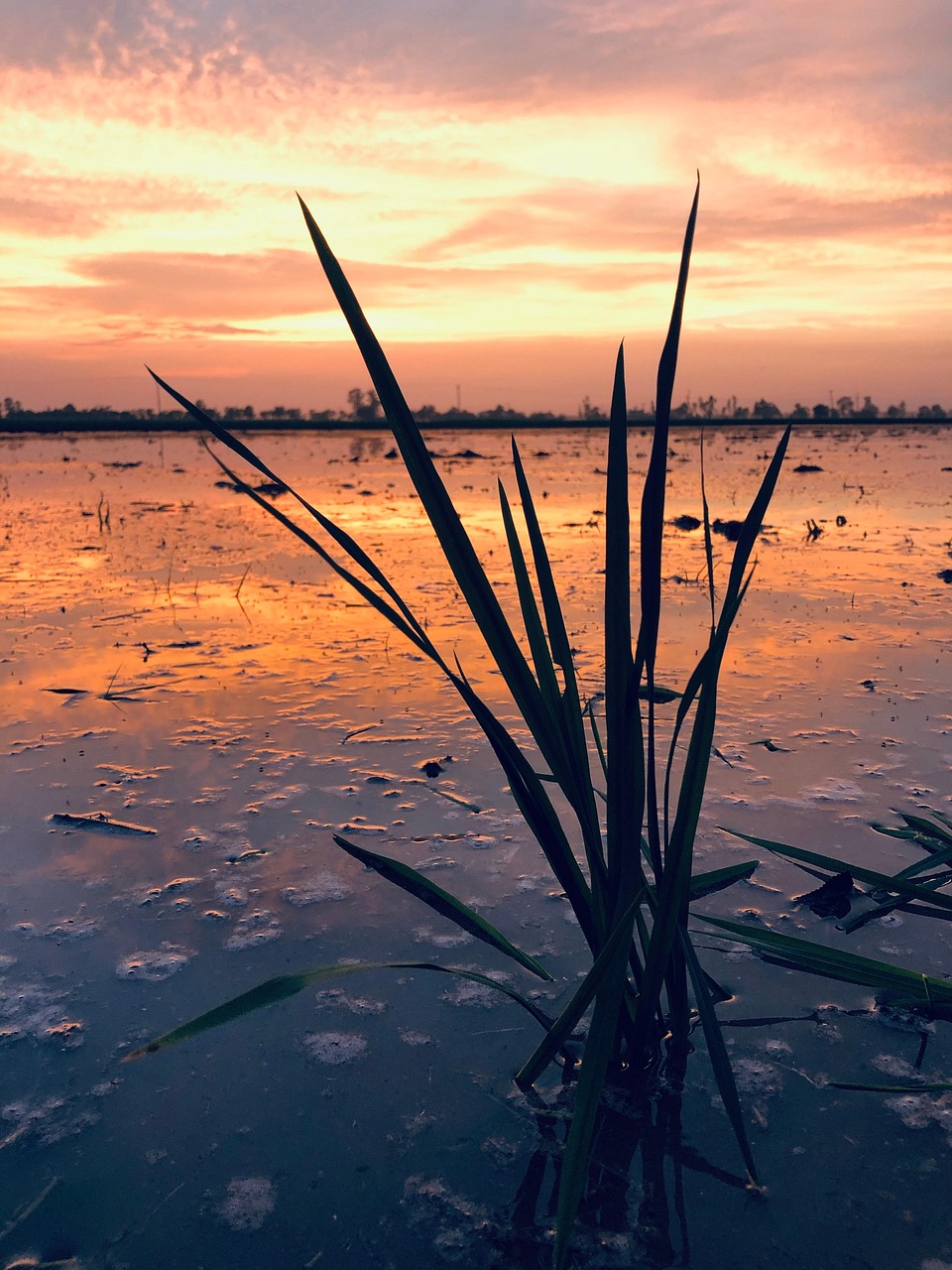 “Great Basin Water Conservation Methods” » The Great Basin: A…