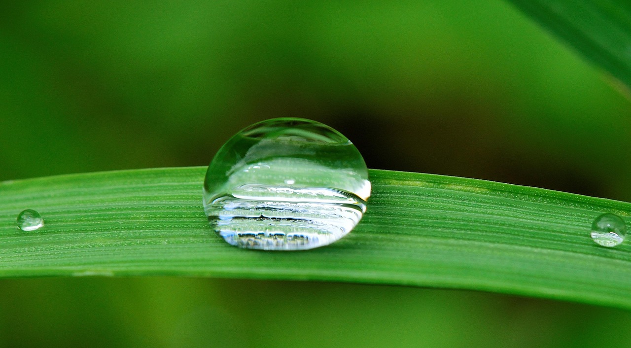 Cost-effective Irrigation Water Management – The Thirsty Heart Of The…