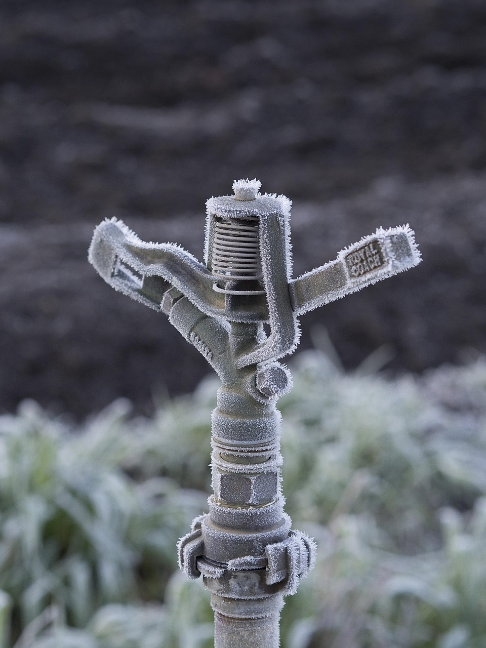 Drip Irrigation Solutions For Gardens » Okay, Here’s A Draft…
