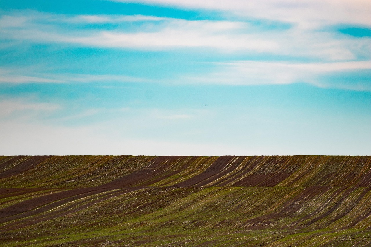 Efficient Irrigation Systems For Farms / Alright, Here’s An Article…
