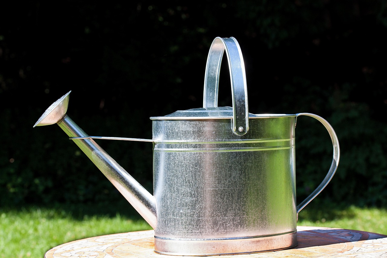 Irrigation Water Solutions / Okay, Here’s A Short, Informative Article…