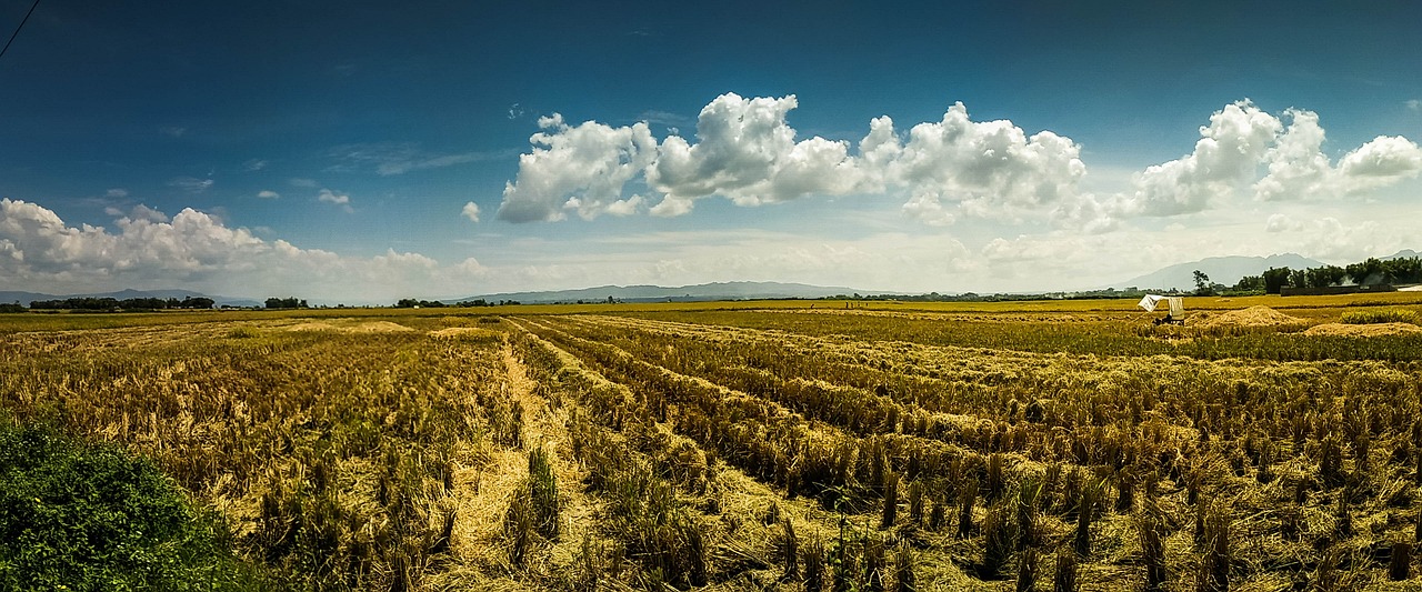 Irrigation Water Solutions | Is The Great Basin Running Dry?…