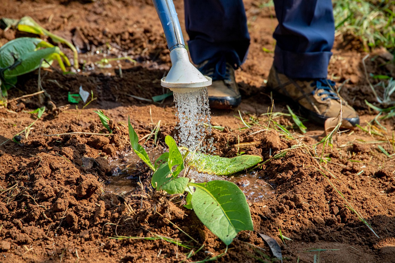 Water-efficient Irrigation Techniques / Here’s An Article About The Great…