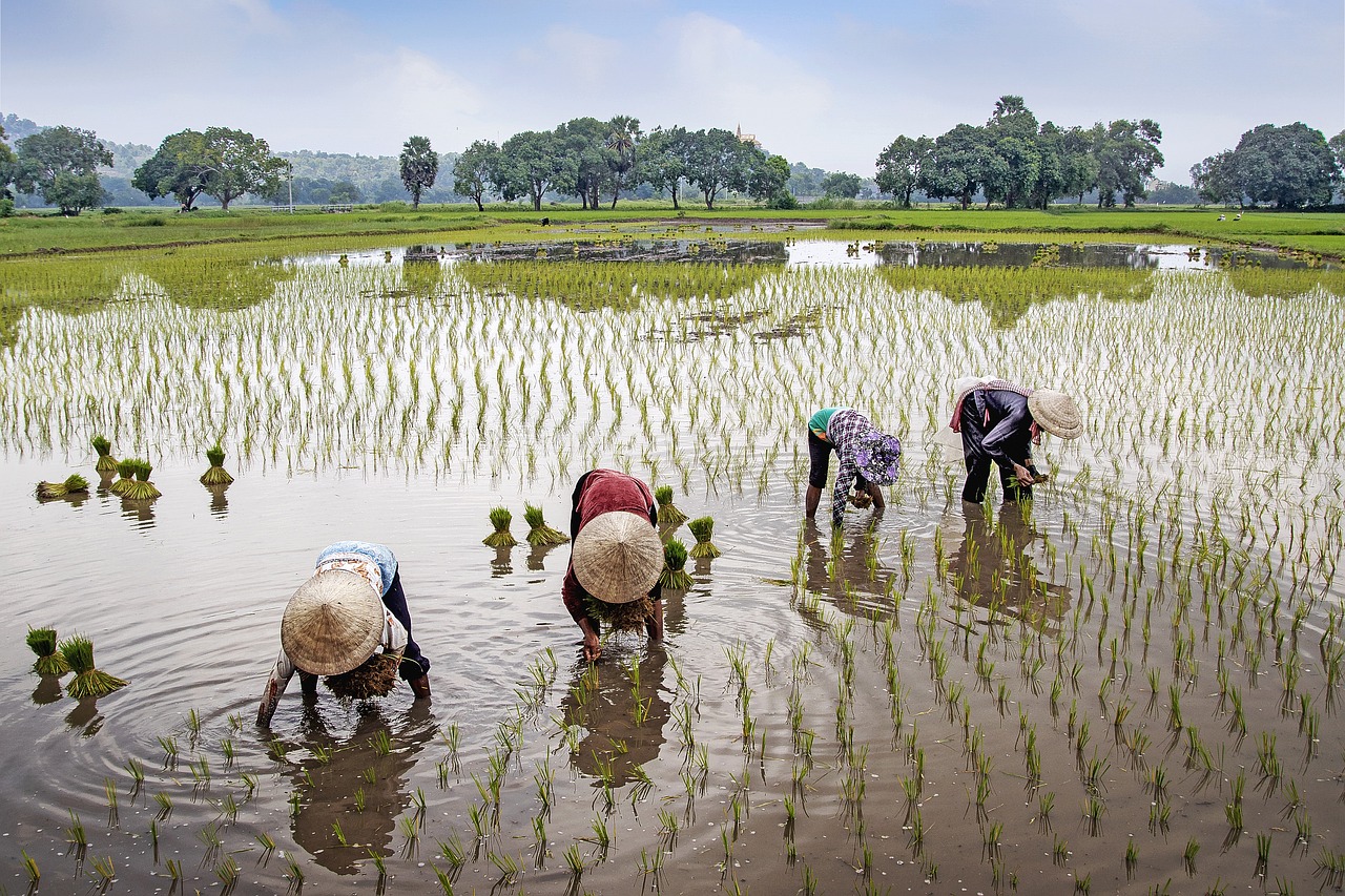 Water Scarcity Solutions For Agriculture: Okay, Here’s An Article About…