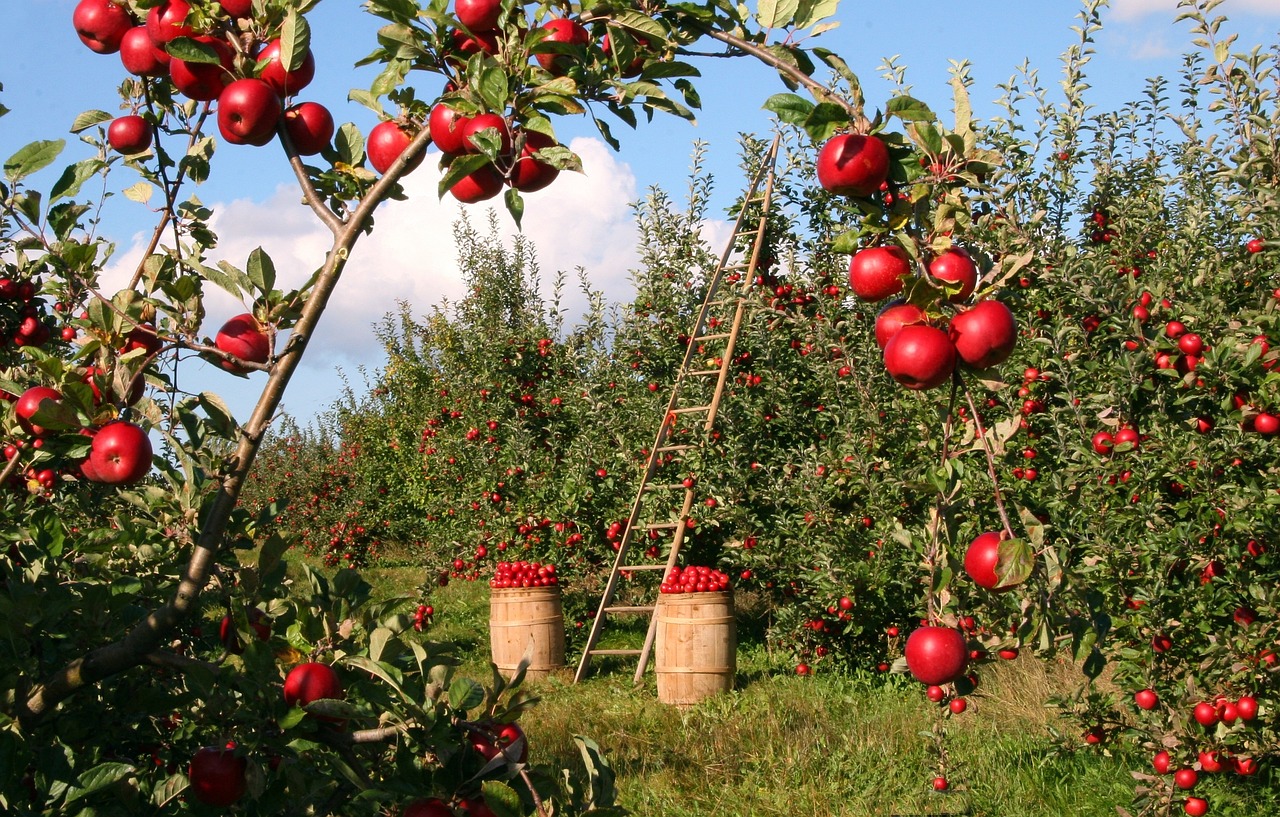 Water Scarcity Solutions For Agriculture | Okay, Here’s An Article…
